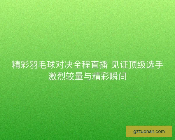 精彩羽毛球对决全程直播 见证顶级选手激烈较量与精彩瞬间