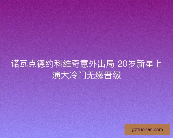 诺瓦克德约科维奇意外出局 20岁新星上演大冷门无缘晋级